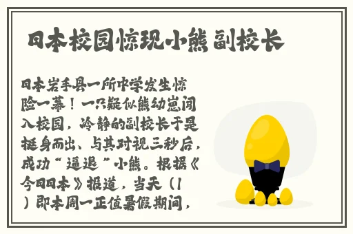 欧洲VODAFONEWIFI一区