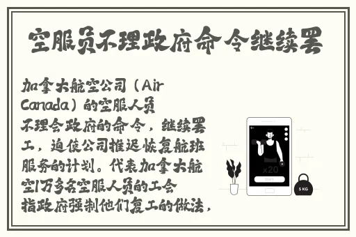 x7x7暴力噪入口预计更新时间